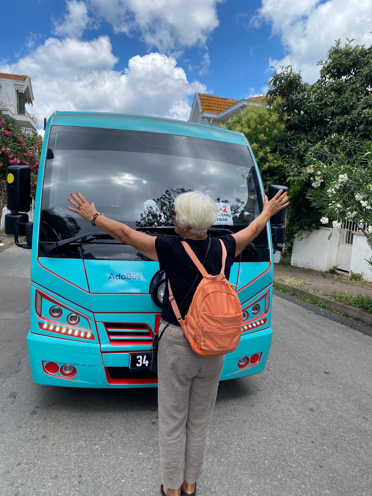 Adalar'a minibüs getirilmesini protesto edenler serbest bırakıldı